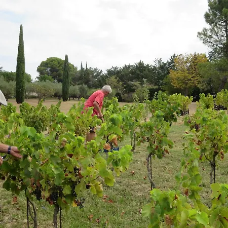 La Baronne Bed & Breakfast
